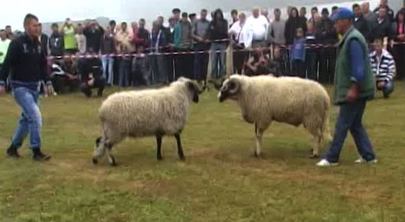 Одржана манифестација 