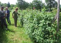 Za sticanje novih znanja 20.000KM