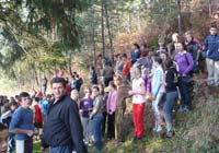 Selo borovih šuma i hodajućeg drveća 