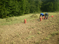 Opština Teslić - Javni poziv za poljoprivredne kredite