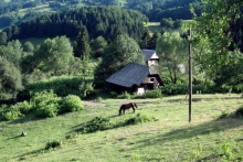 Dragutin jači od nedaća