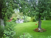 Dvorište porodice Jotanović plijeni pažnju